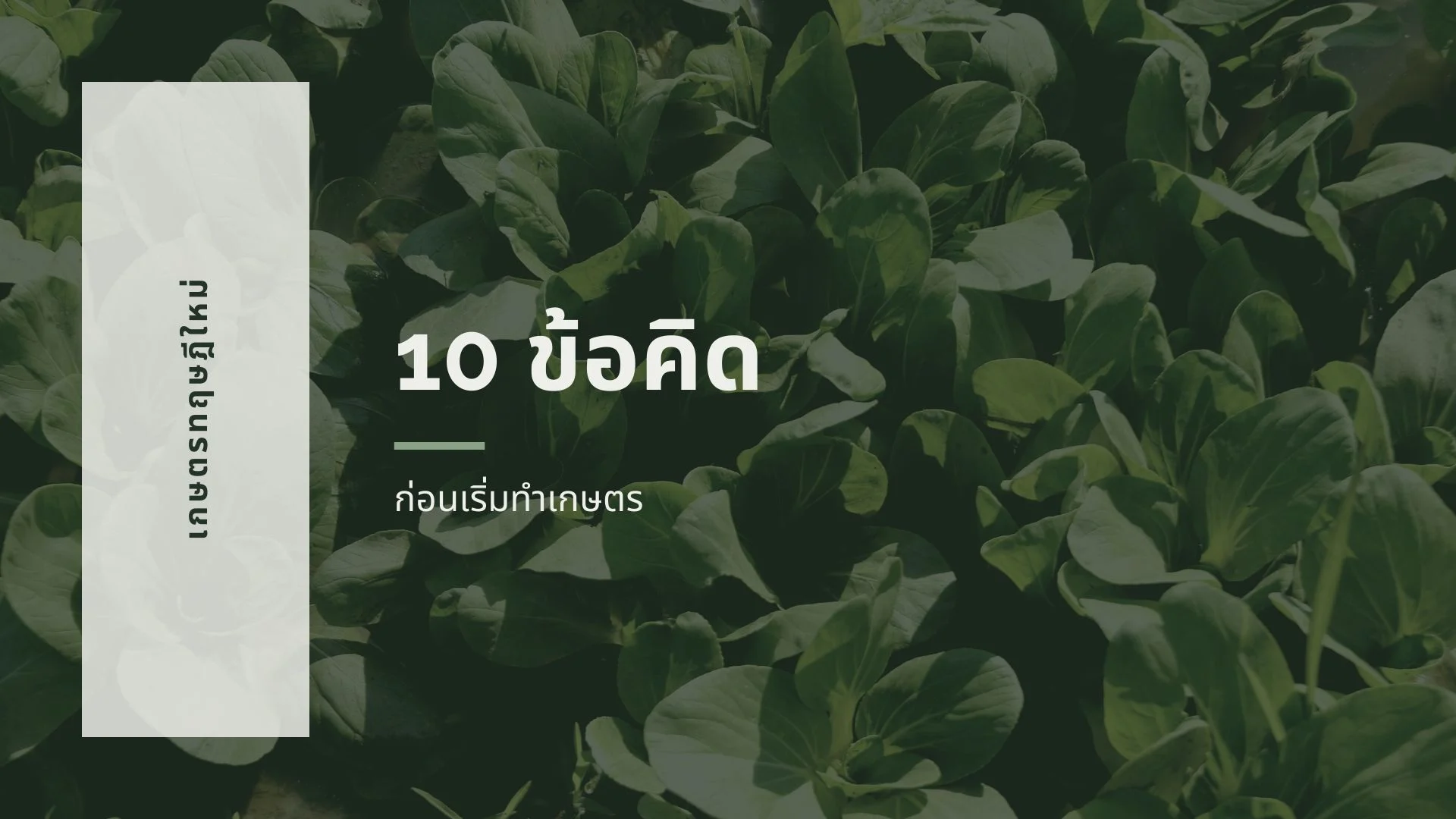 10 ข้อคิดก่อนตัดสินใจเป็นเกษตรกร