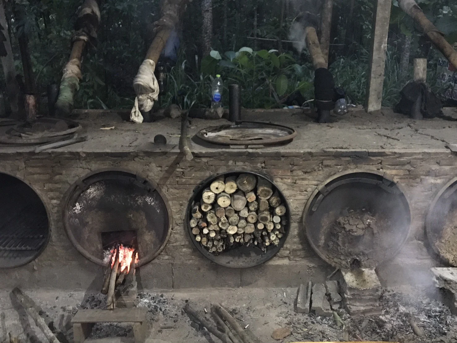 ปลูกป่า … หลังเกษียณมีเงินใช้จาก ‘ต้นไม้’ แค่เป็นส่วนหนึ่งดูแลโลก … สุขก็ล้นเหลือ