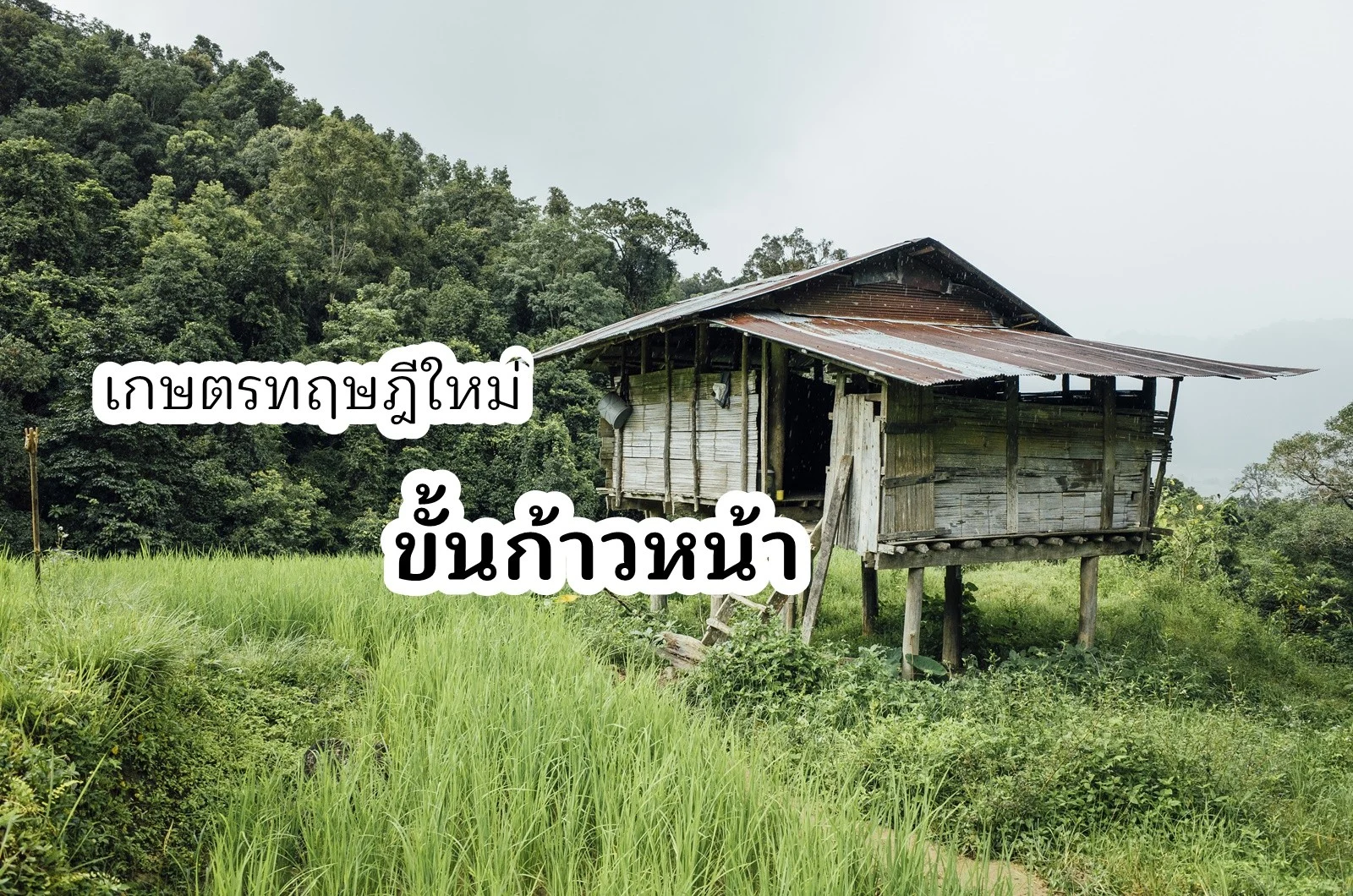 เกษตรทฤษฎีใหม่ขั้นก้าวหน้า