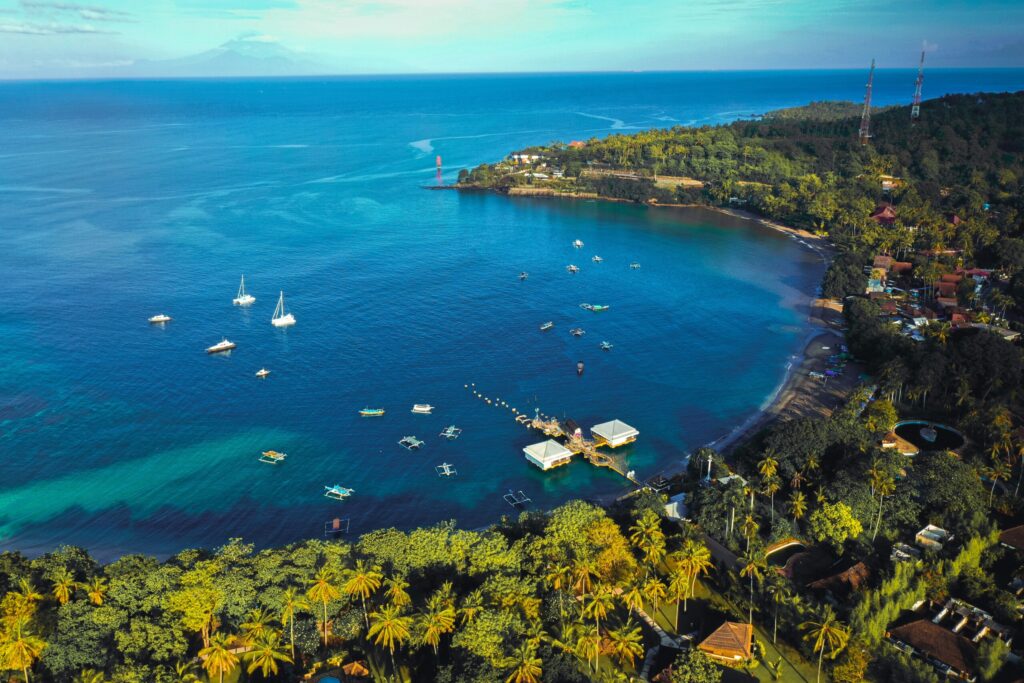 aerial view of green trees and body of water during daytime