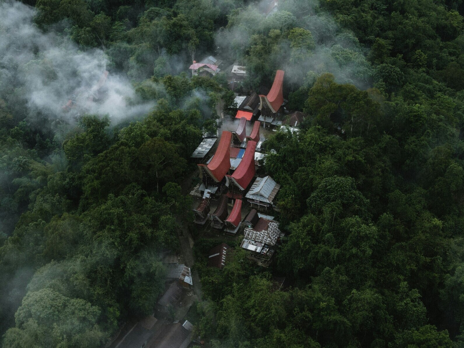 an aerial view of a house in the middle of a forest