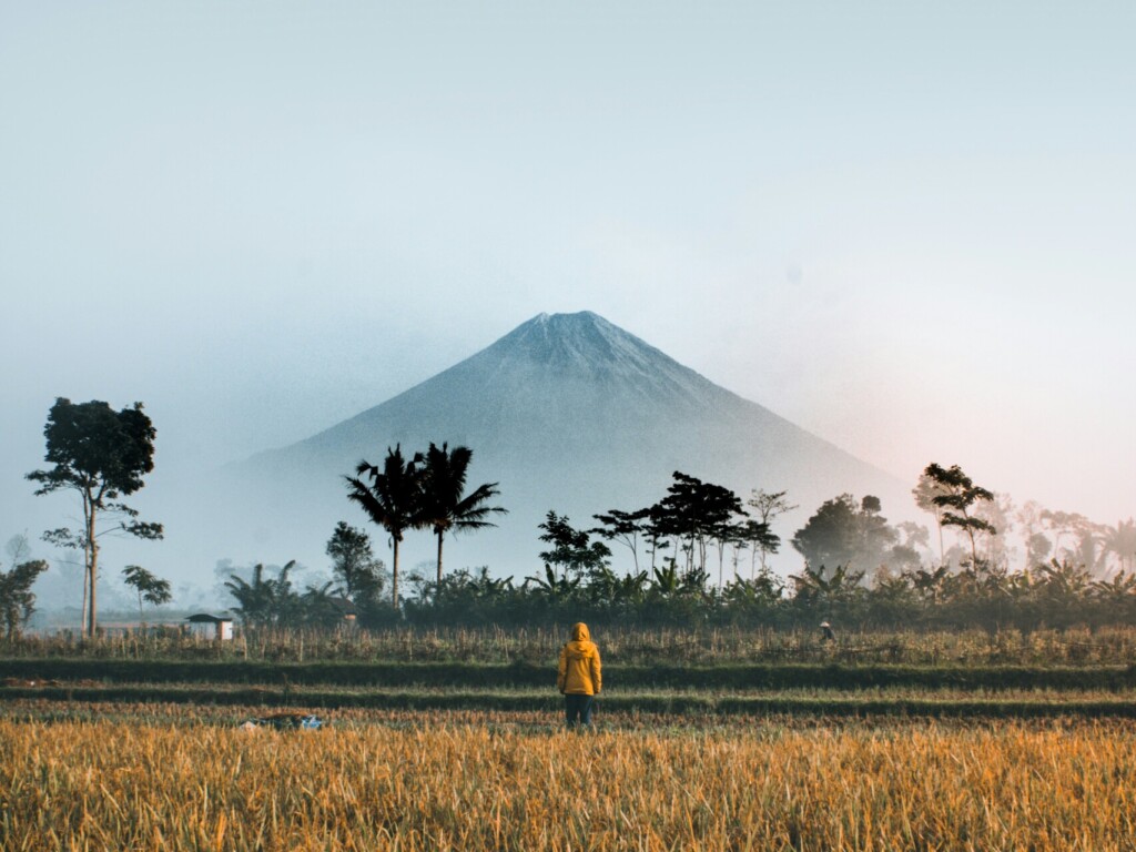 person standing on green grass field