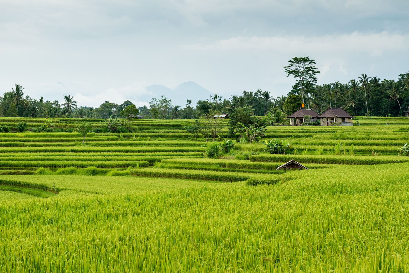 Indonesia