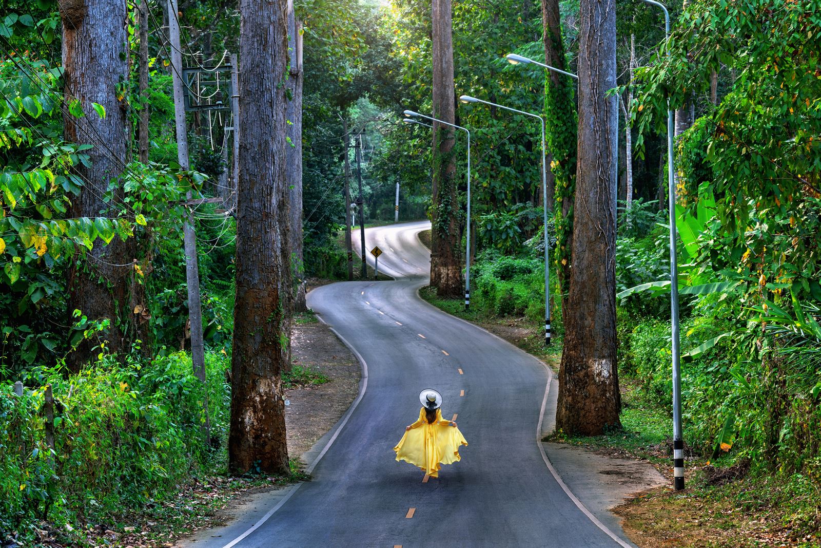 Northern Thailand