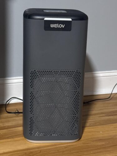 WELOV P200 Pro: Smart Air Purifier (Matter) for Large Rooms photo review